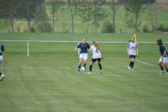DSC_7575