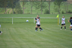 DSC_7584
