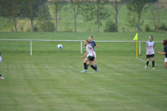DSC_7585