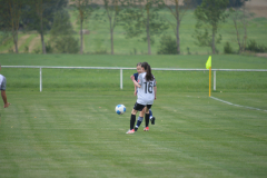 DSC_8007