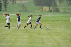 DSC_8342