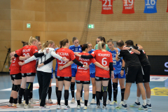 thcerfurtvsneckarsulm-0017