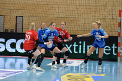 thcerfurtvsneckarsulm-0019