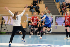 thcerfurtvsneckarsulm-0025