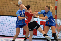 thcerfurtvsneckarsulm-0039