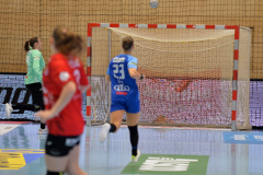 thcerfurtvsneckarsulm-0050