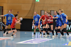 thcerfurtvsneckarsulm-0058