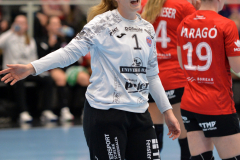 thcerfurtvsneckarsulm-0072