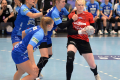 thcerfurtvsneckarsulm-0084