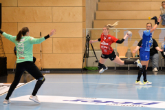 thcerfurtvsneckarsulm-0086